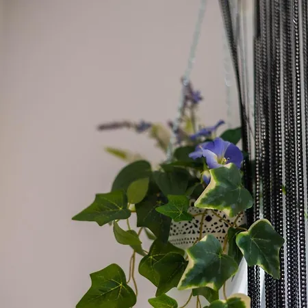 Lägenhet Charming Close To Bacvice And Center