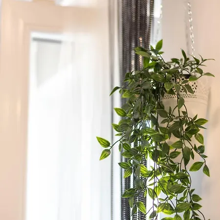 Charming Close To Bacvice And Center Lägenhet