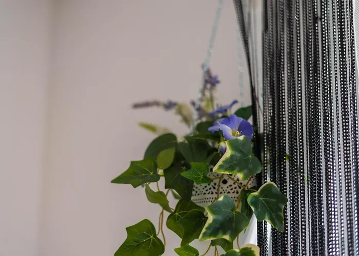 شقة Charming Close To Bacvice And Center